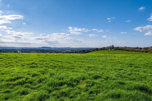 A vast green valley with a blue sky during daytime